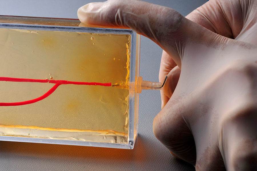 Custom model for catheter training