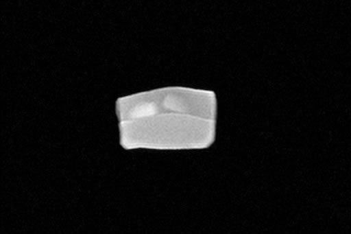 Image of phantom model produced by contrast MRI (embedded cancer model is also shown)