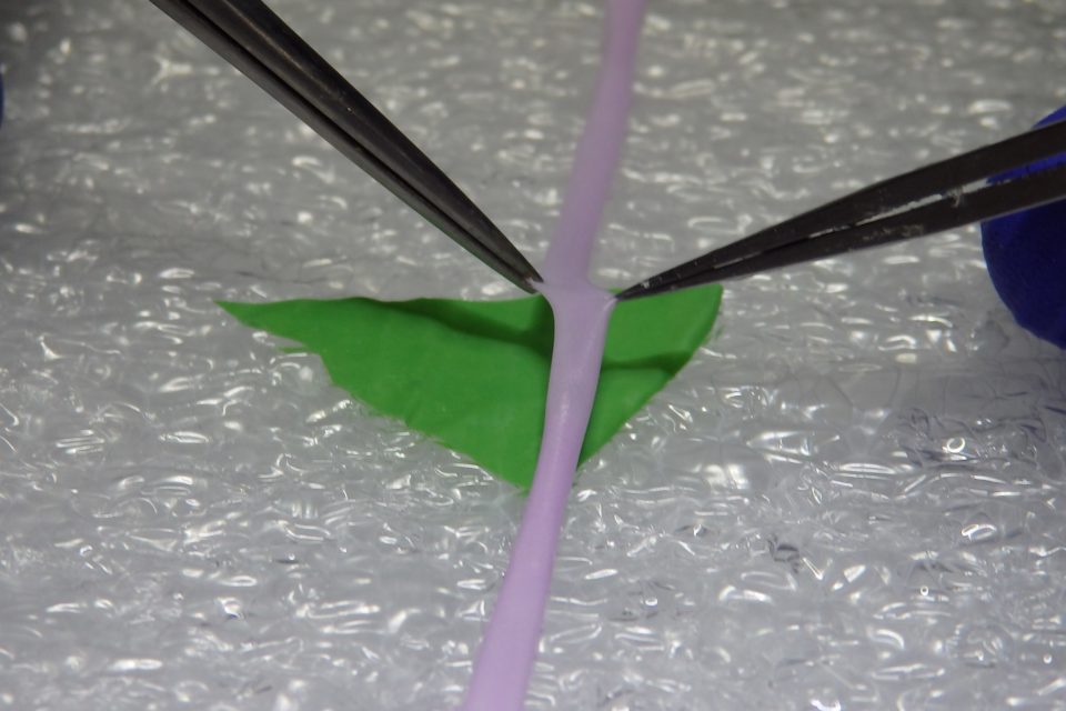 Blood vessel model for anastomosis 2 layers/Adventitia layer Colored (purple) type
