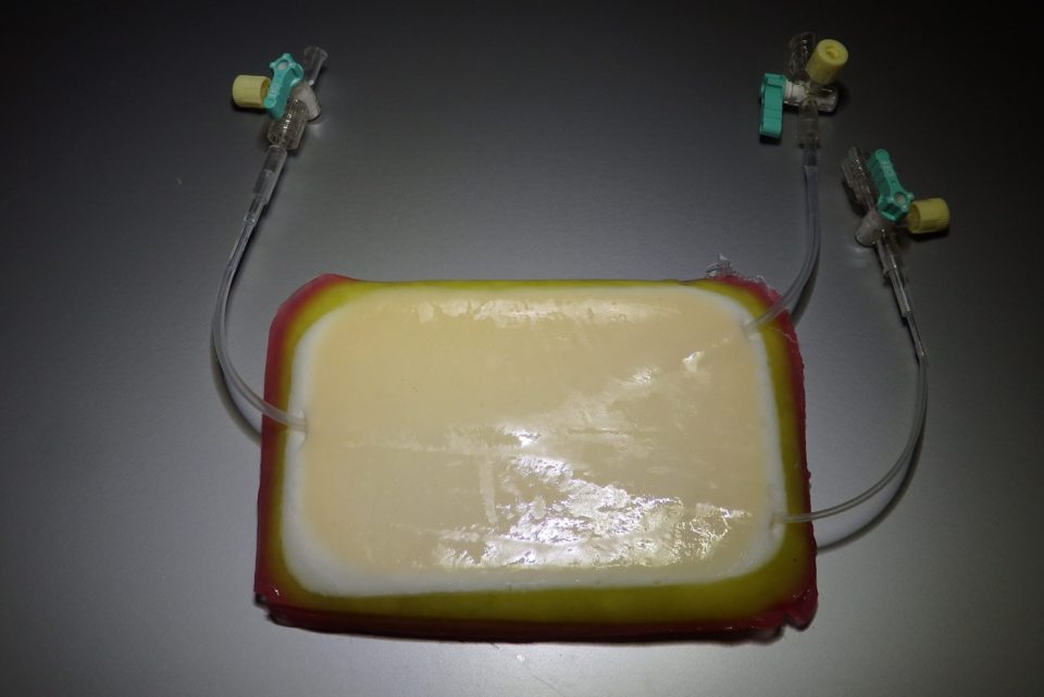 Injection training model (with bifurcated blood vessels)